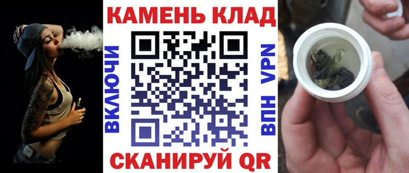 ГАШ гарик Ельня