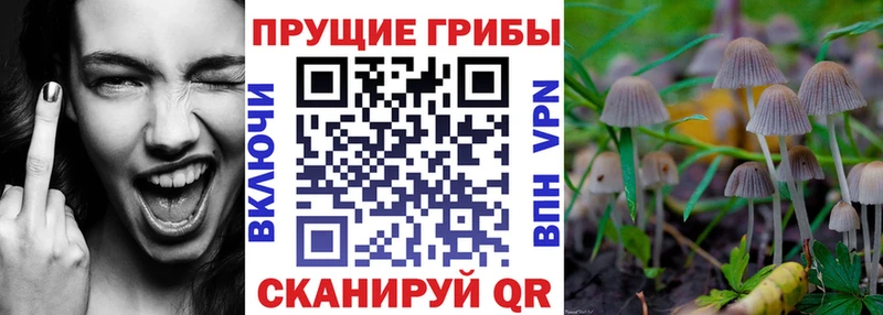 Галлюциногенные грибы мухоморы  купить  сайты  Ельня 